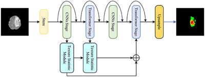 A <mark class="highlighted">medical image segmentation</mark> method based on multi-dimensional statistical features